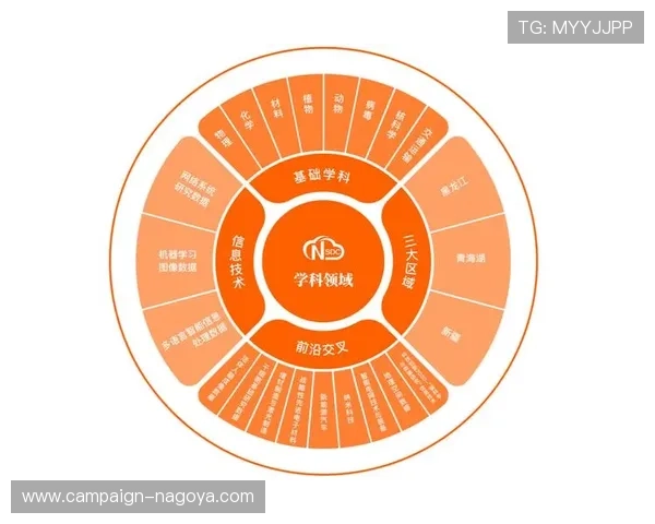 揭秘中国官方网站的资源共享与服务优势